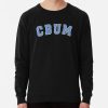 ssrcolightweight sweatshirtmens10101001c5ca27c6frontsquare productx1000 bgf8f8f8 4 - Cbum Gifts